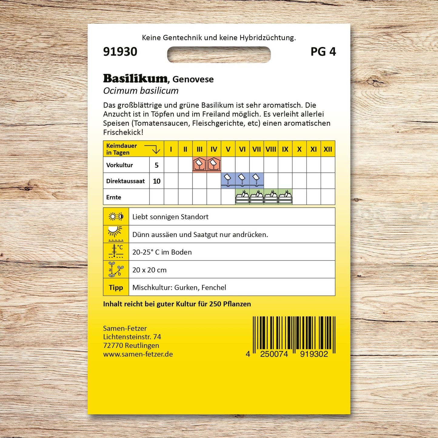 Basilikum Genovese, großblättrig