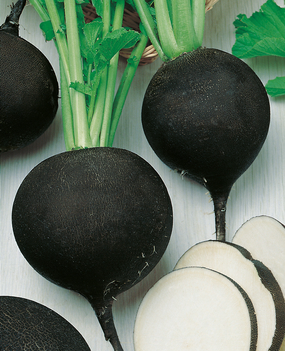 Rettich Runder Schwarzer