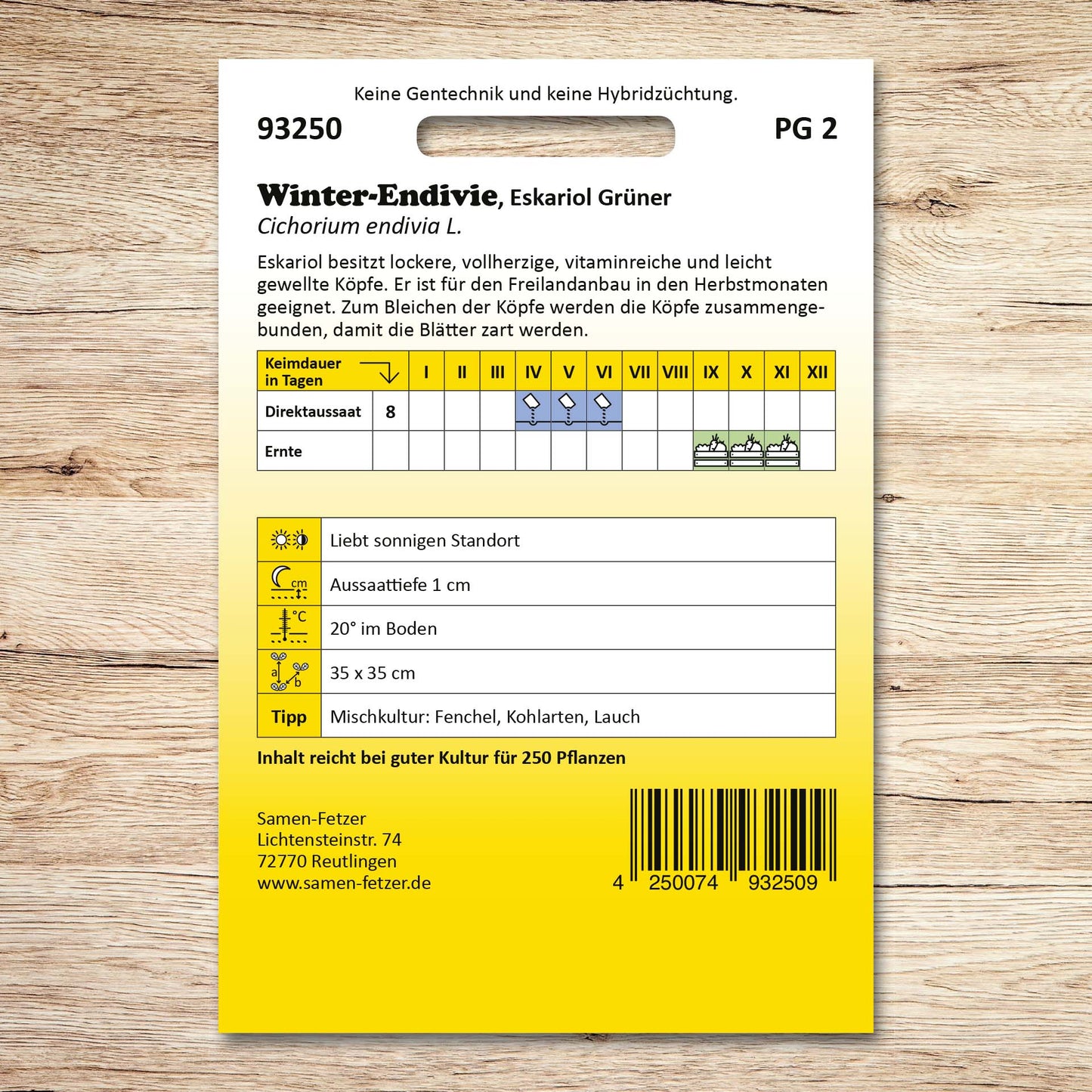 Winterendivien Eskariol Grüner