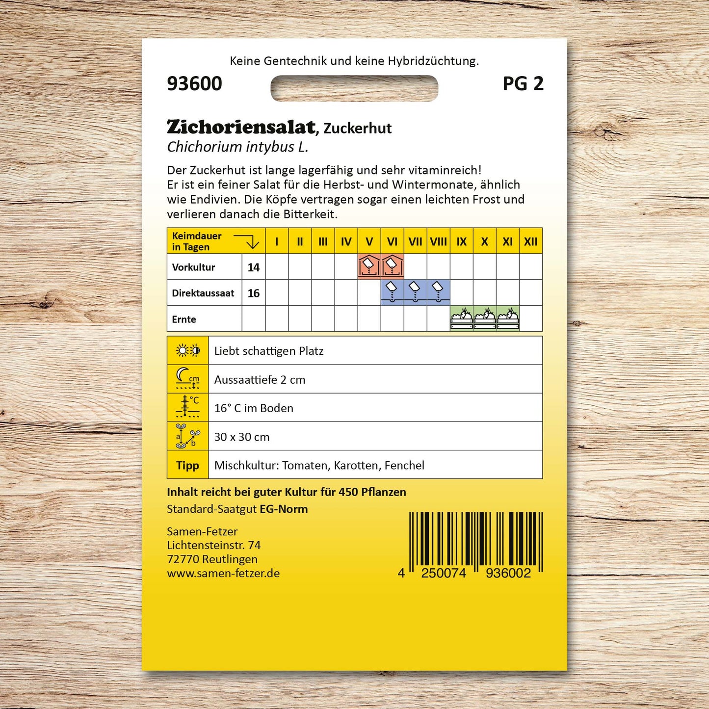 Zichoriensalat Zuckerhut