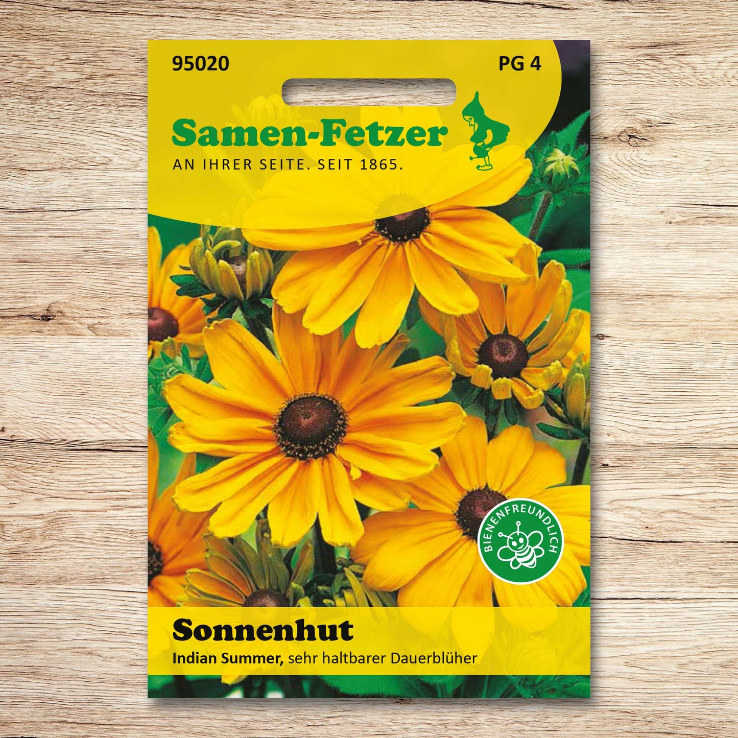 Sonnenhut Indian Summer