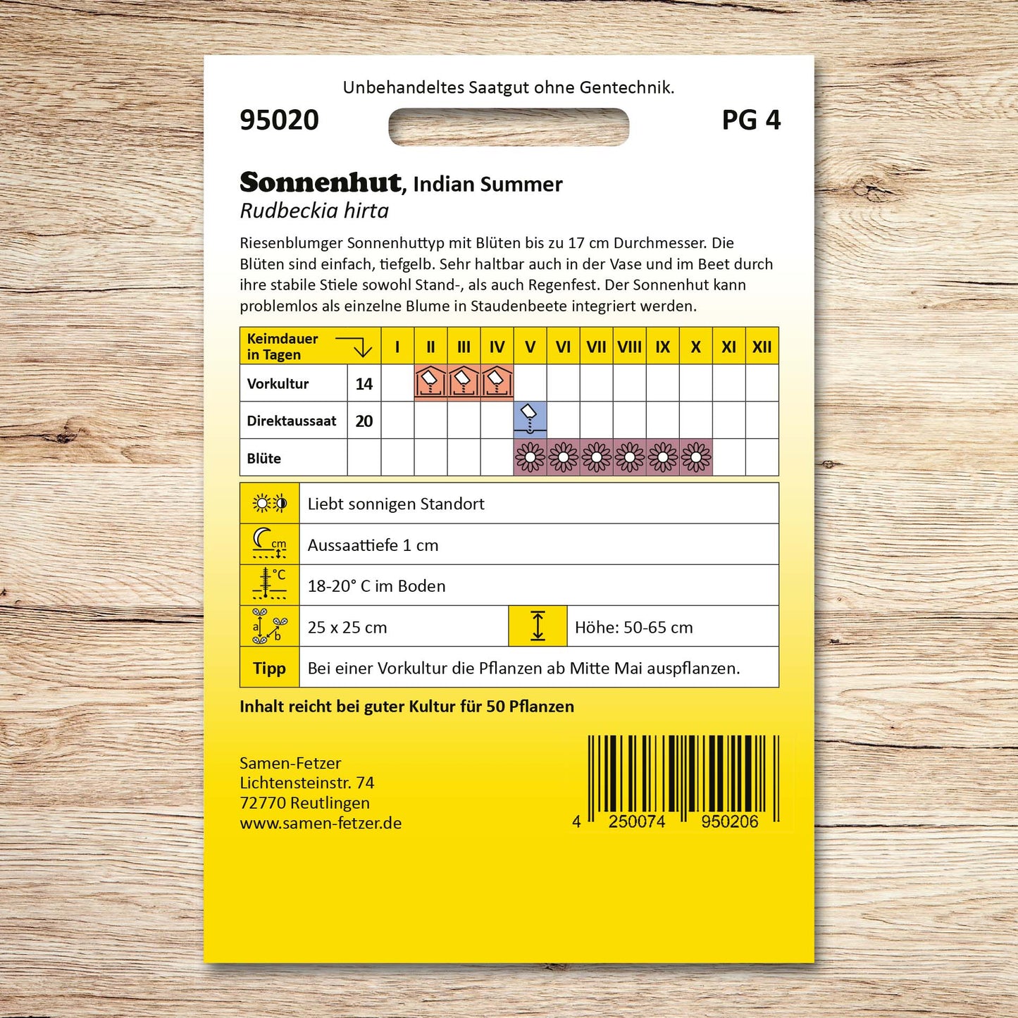 Sonnenhut Indian Summer