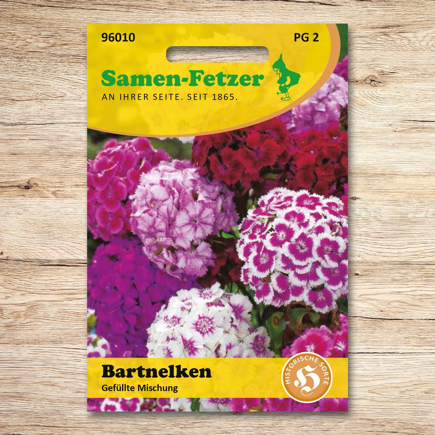 Bartnelken Gefüllte Mischung