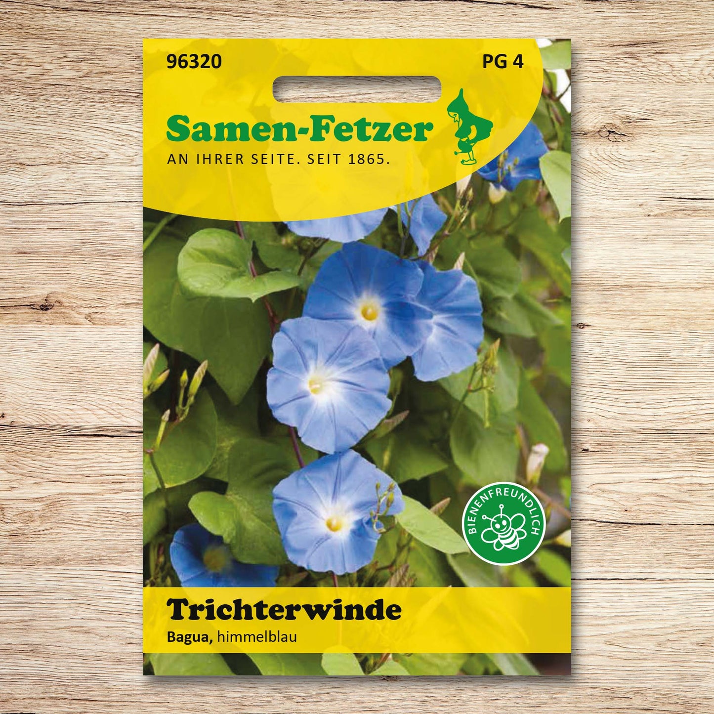 Trichterwinde Himmelblau Bagua