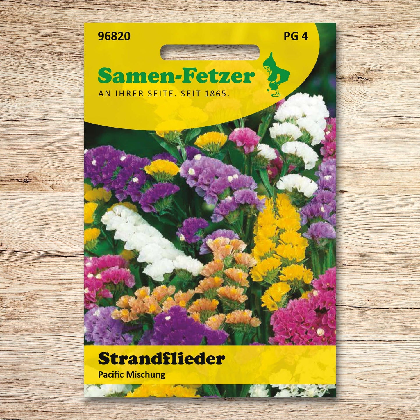 Strandflieder Pacific Mischung