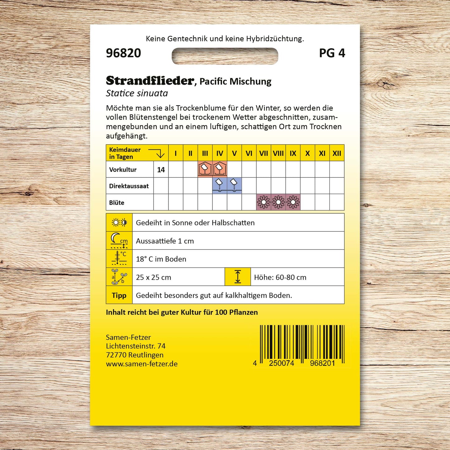 Strandflieder Pacific Mischung