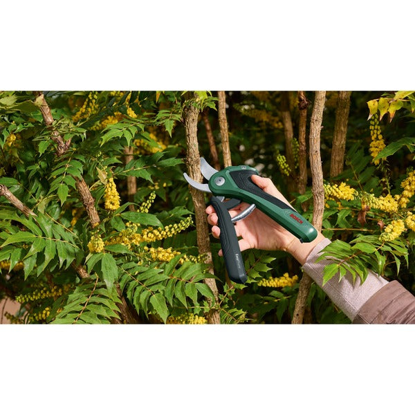 Bosch Akku-Gartenschere EasyPrune Classic