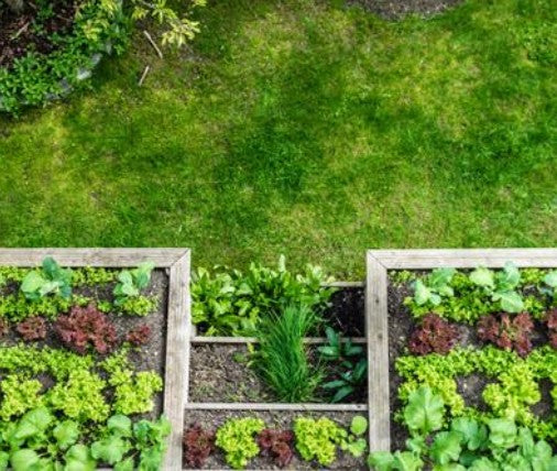 Universaldünger - Der Alleskönner unter den Düngern