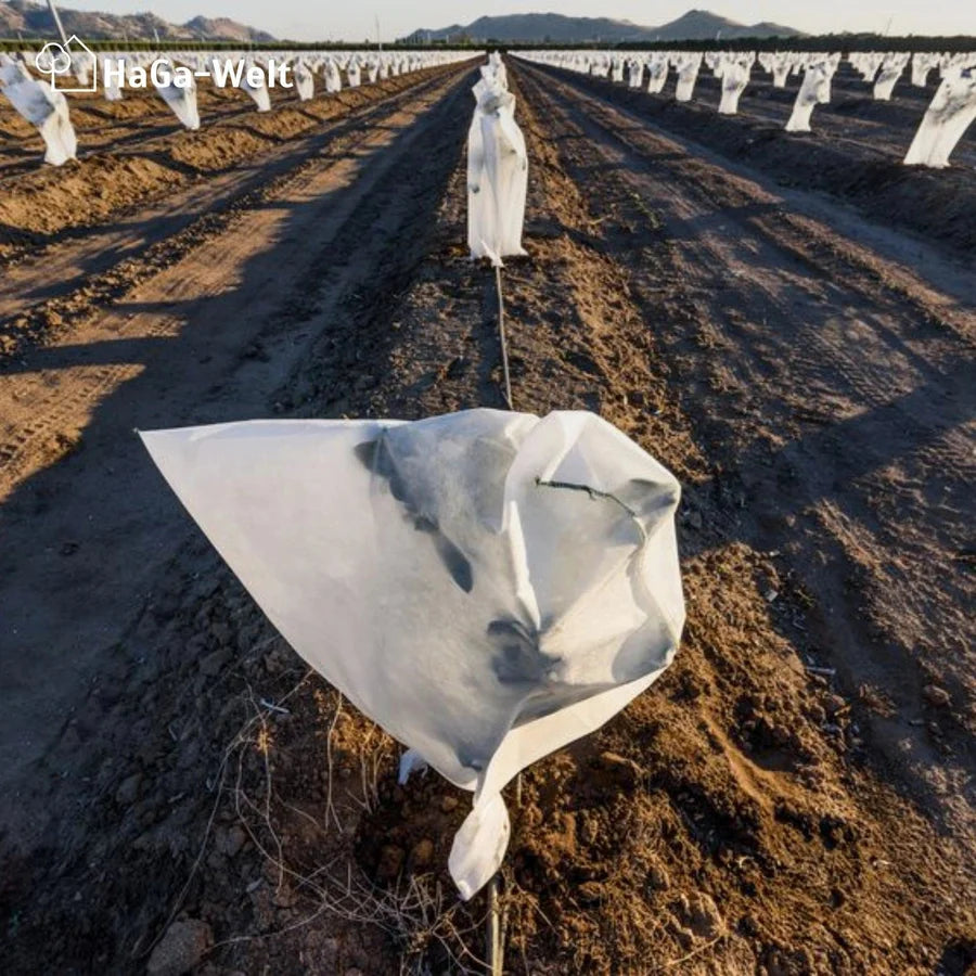Frostschutzhaube, 80g/m² – starker Winterschutz für Pflanzen