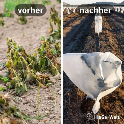 Frostschutzhaube, 50 g/m² – Schutzhaube für Pflanzen, perfekt gegen Frost