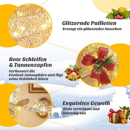 Beleuchtetes Weihnachts-Rentier mit Schlitten