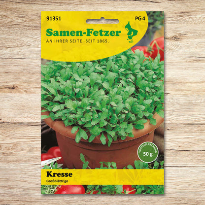 Kresse Großblättrige