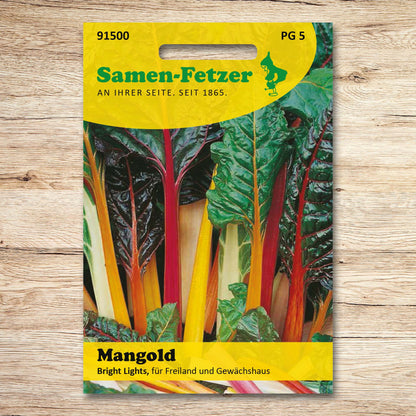 Mangold Bright Lights