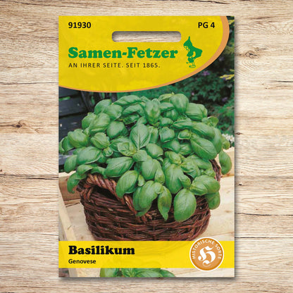 Basilikum Genovese, großblättrig