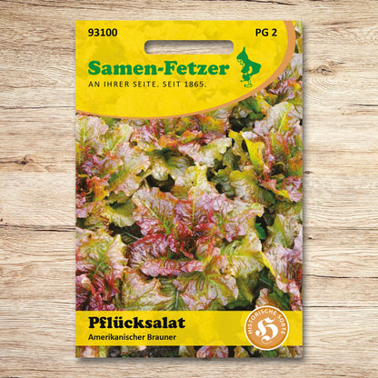 Pflücksalat Amerikanischer Brauner