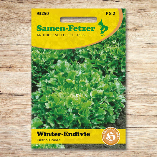 Winterendivien Eskariol Grüner