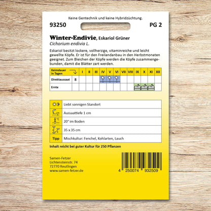 Winterendivien Eskariol Grüner