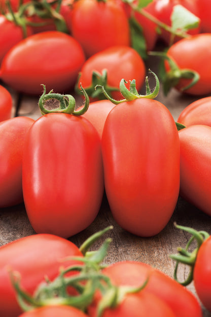 Tomaten Roma
