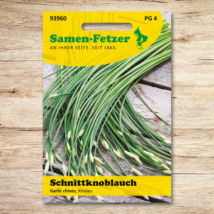 Schnittknoblauch Garlic chives