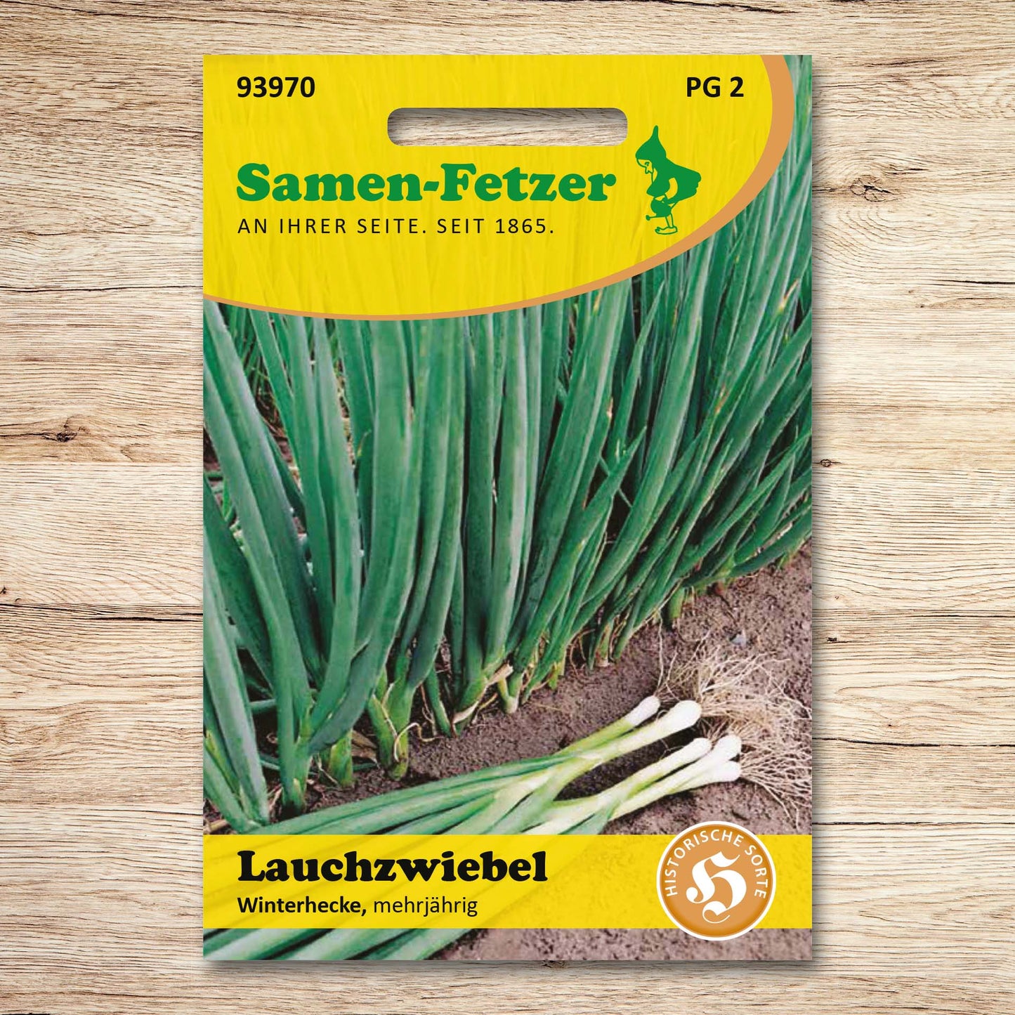 Zwiebelsamen Winterheckezwiebeln