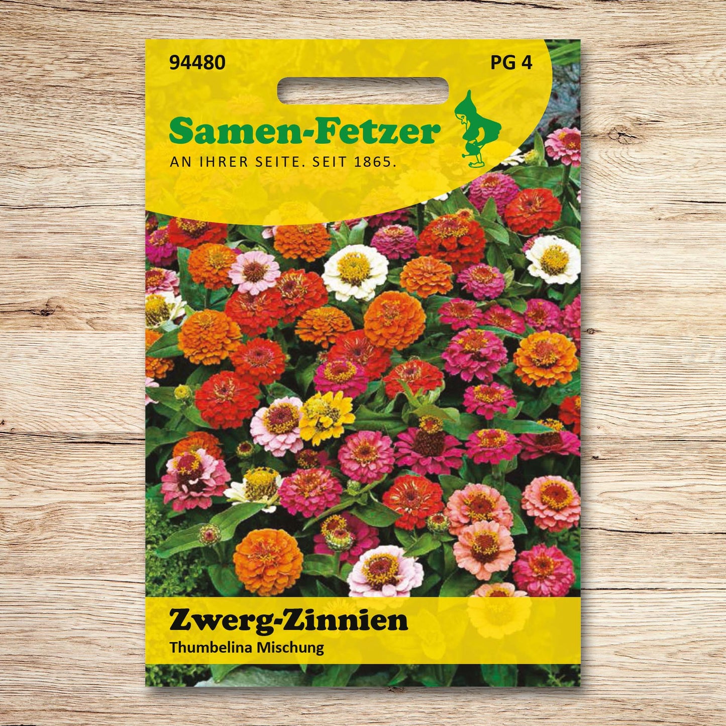 Zwergzinnien Thumbelina Mischung