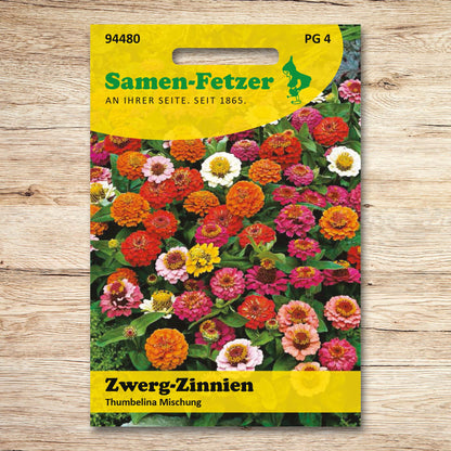 Zwergzinnien Thumbelina Mischung