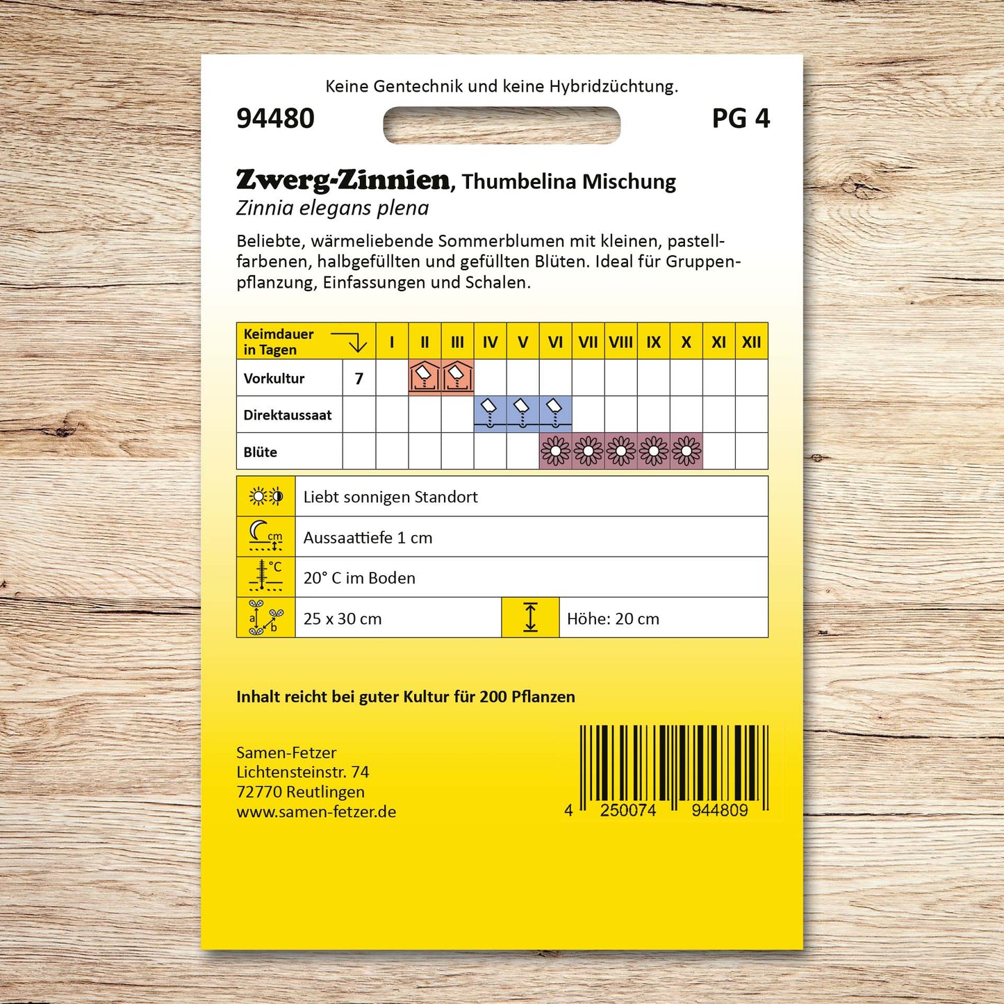 Zwergzinnien Thumbelina Mischung