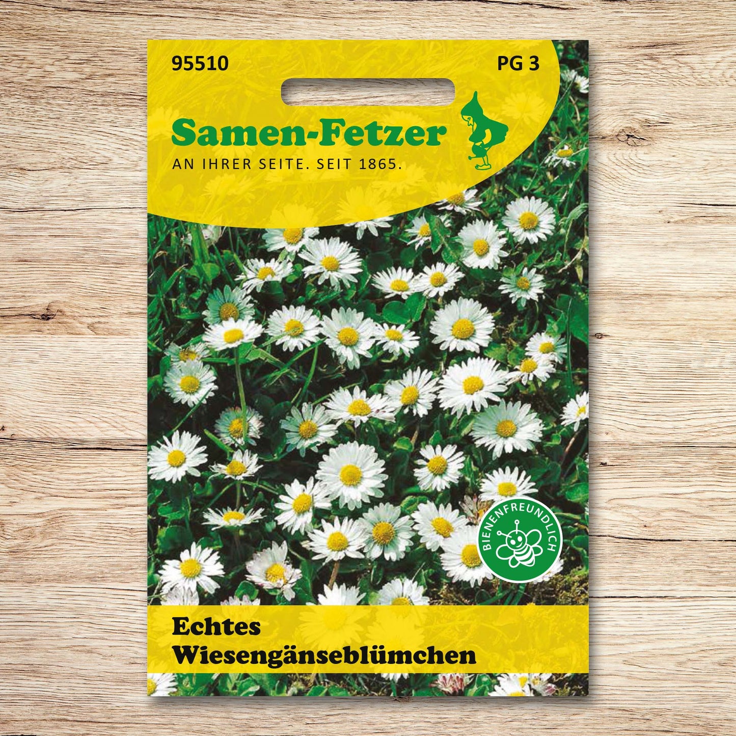 Echtes Wiesengänseblümchen