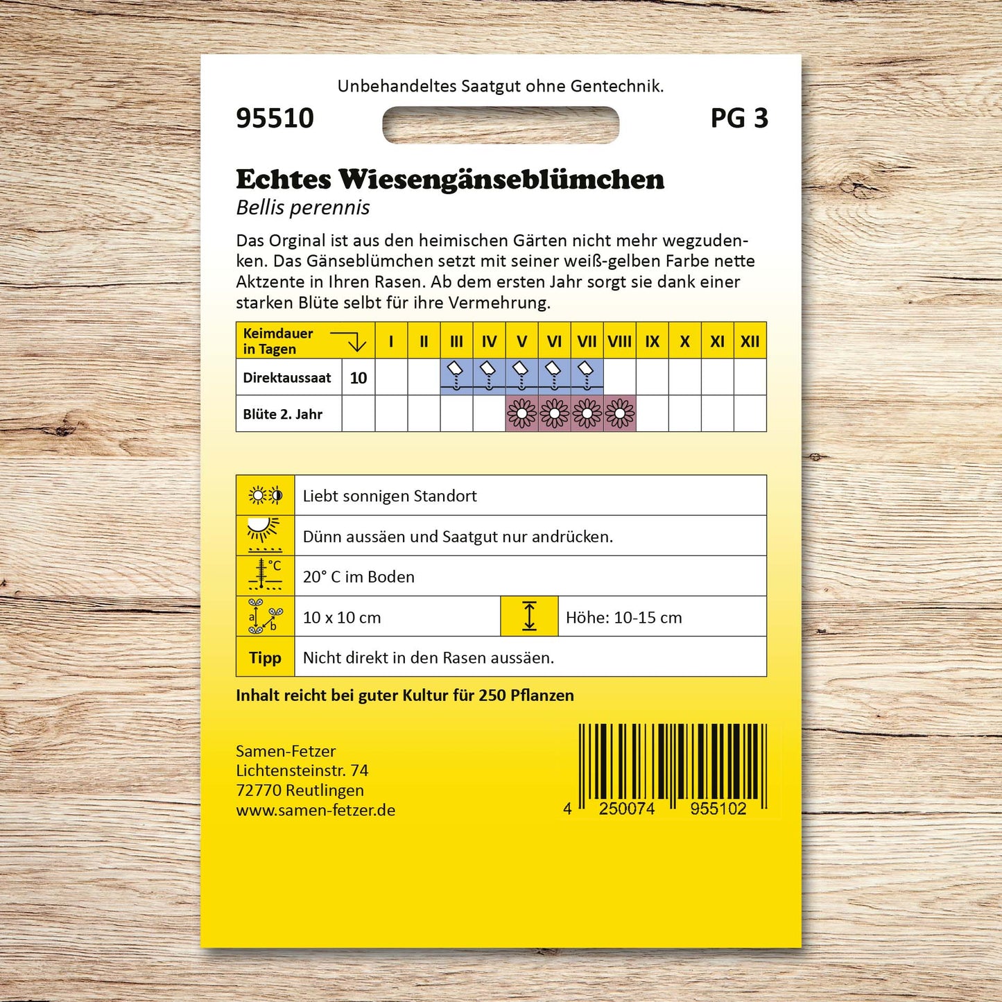 Echtes Wiesengänseblümchen