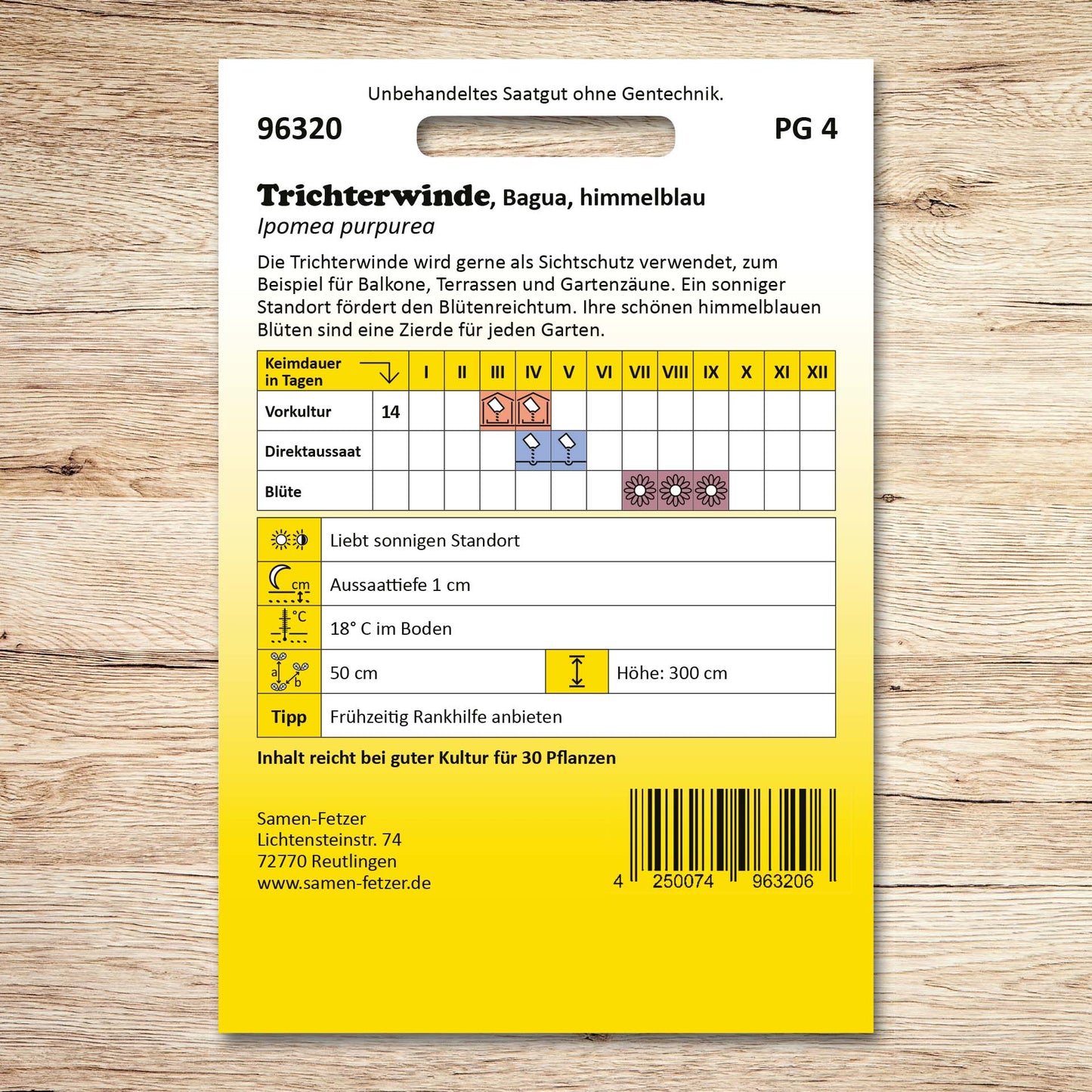 Trichterwinde Himmelblau Bagua