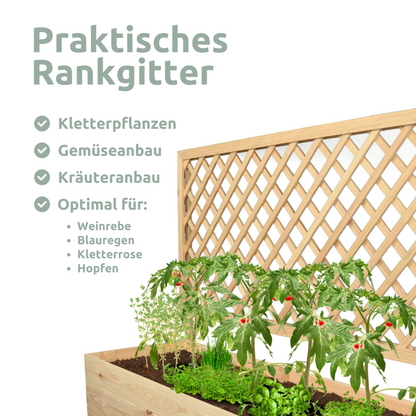 Pflanzkasten mit Rankgitter