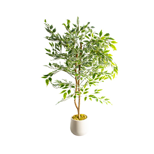 Künstlicher Benjamini Pflanze, ca.120cm hoch