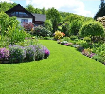 Rasendünger Herbst - für ein sattes Grün im Herbst