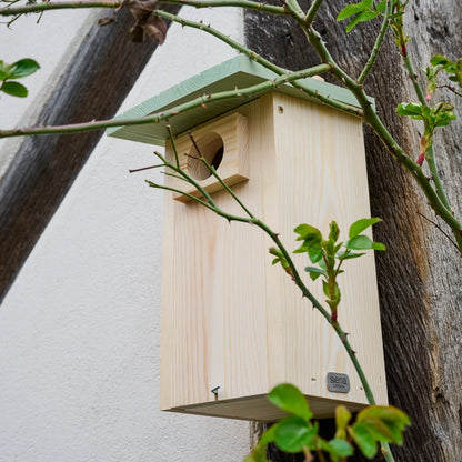 Nestperle EMILIA Kiefer